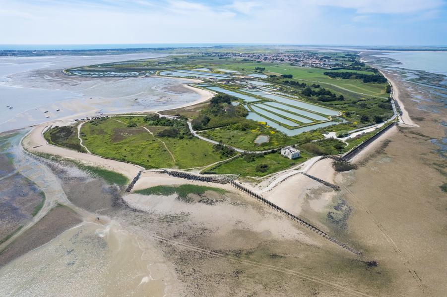 Pointe du Groin