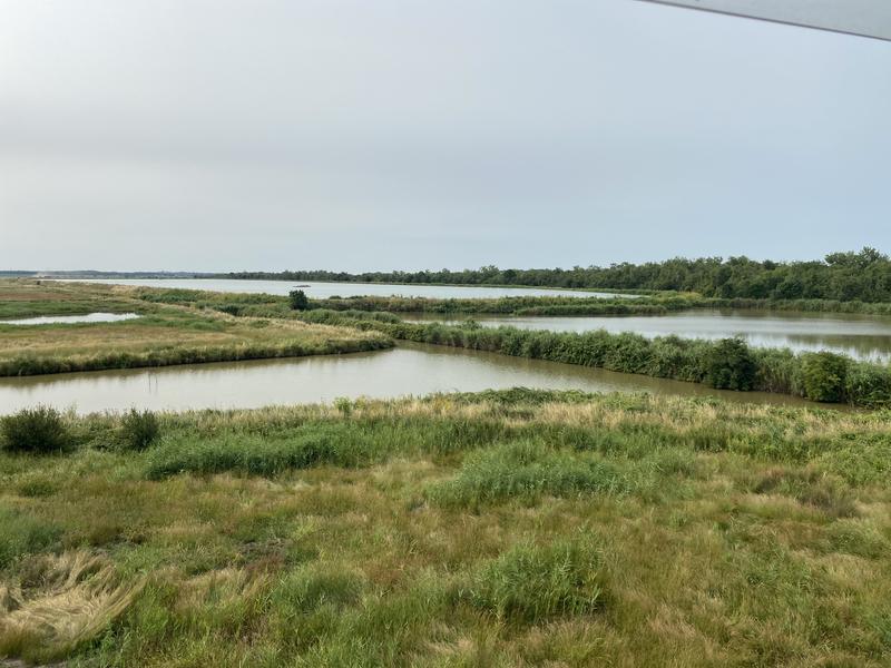 Point de vu de la tour