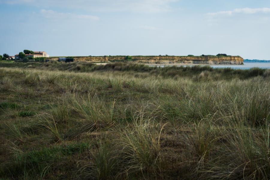 Vue paysagère de la réserve naturelle de la baie d'Yves