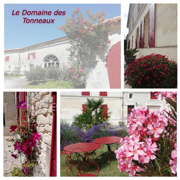Domaine