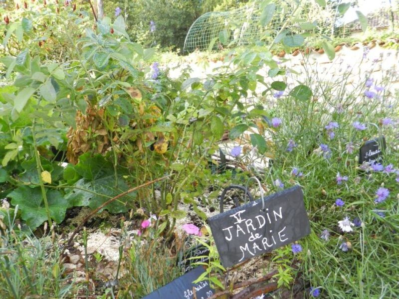Carré du jardin de Marie