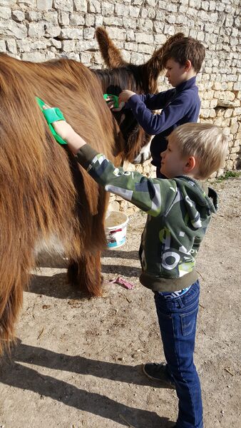 Atelier pansage