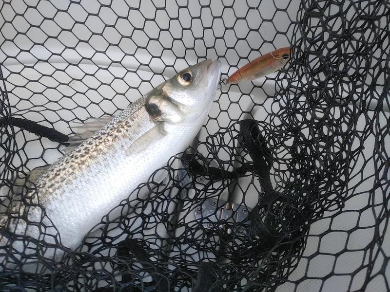 Pêche en mer