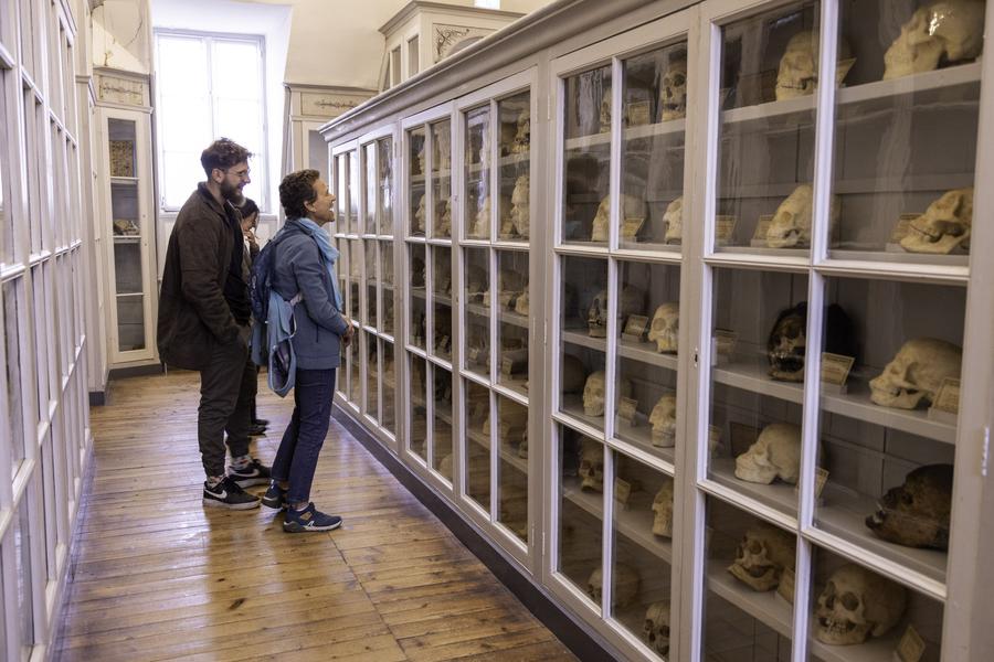 Cabinet d'anatomie