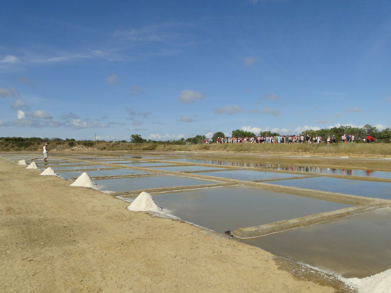 Visite commentée du marais salant