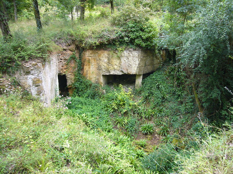 Point de vue depuis la plateforme