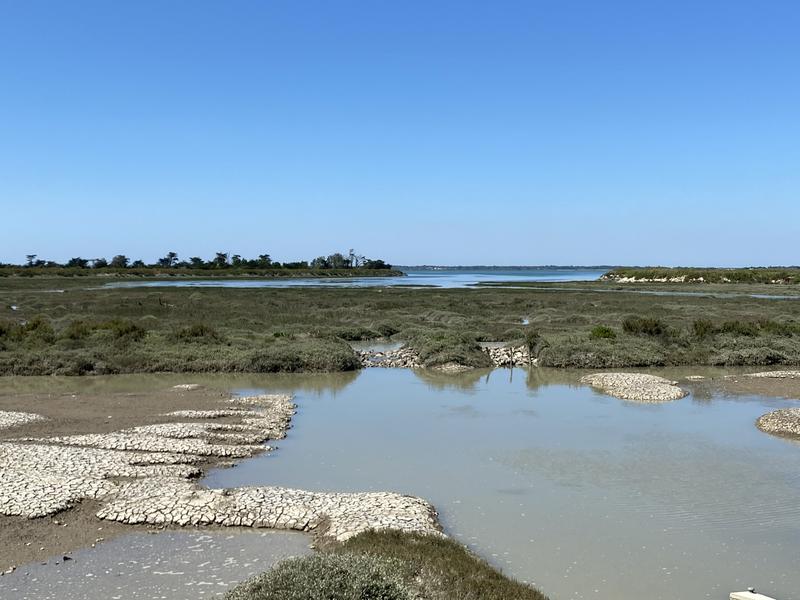 Marais et Fier d'Ars