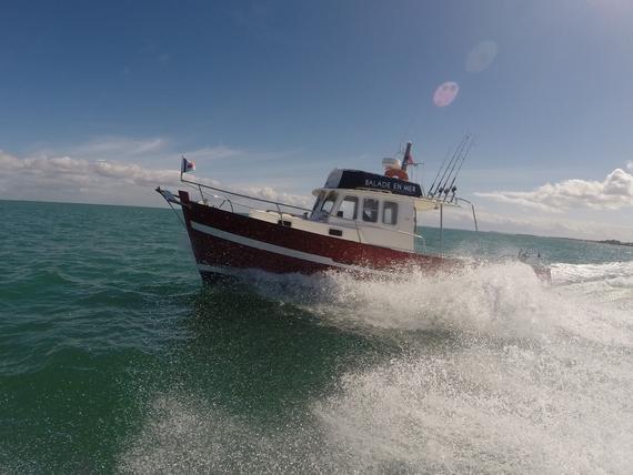 Bateau - Île de Ré Nautisme