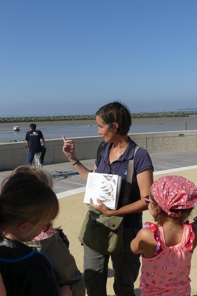 Safari Les apprentis.es ornithologues