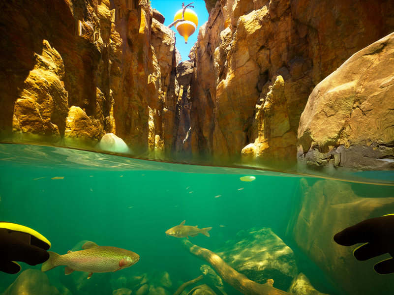 Fonds marins avec des rochers autour