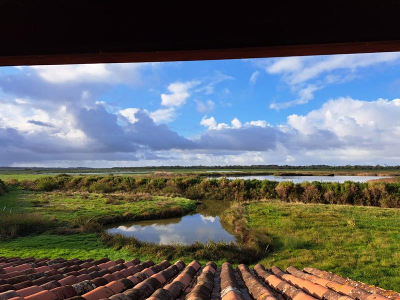 Vue depuis l'observatoire de l'accueil