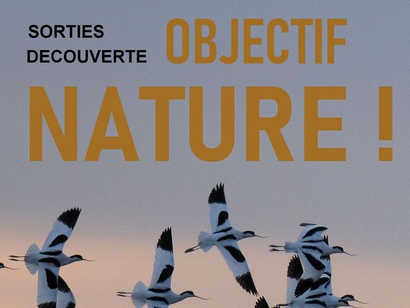 Sortie « Objectif Nature » - Marais d'Ars-en-Ré_Ars-en-Ré