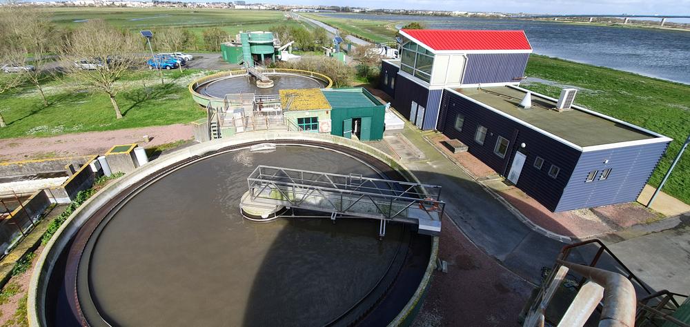découverte du traitement des eaux usées et observation des oiseaux