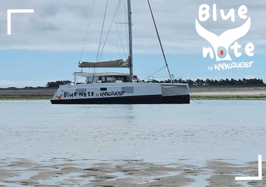 Sortie en mer sur catamaran à voile de 5h par Kapalouest
