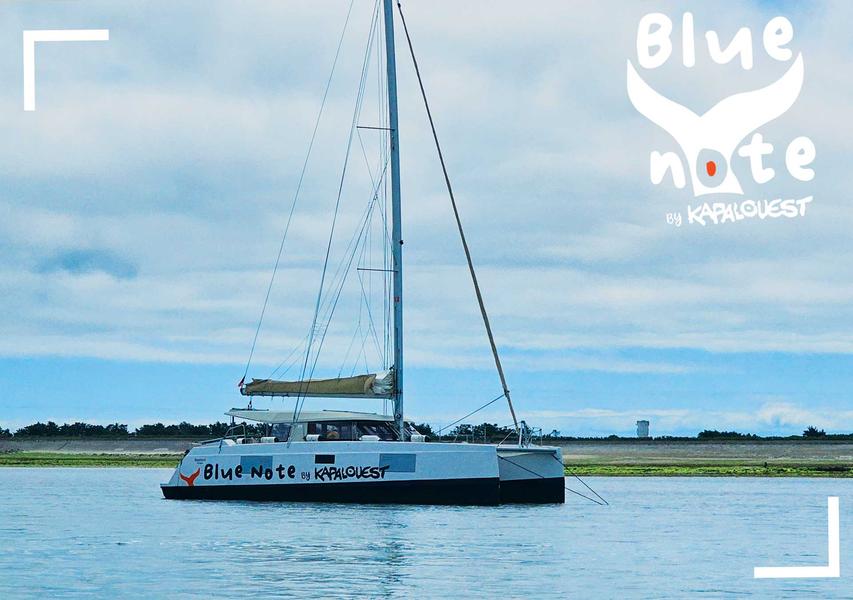 Sortie demi-journée sur un catamaran à voile de Blue Note by Kapalouest
