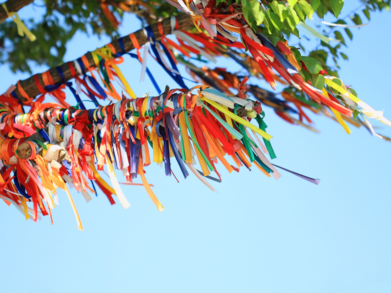 Des morceaux de papiers de couleurs différentes acrochés à une branche d'arbre