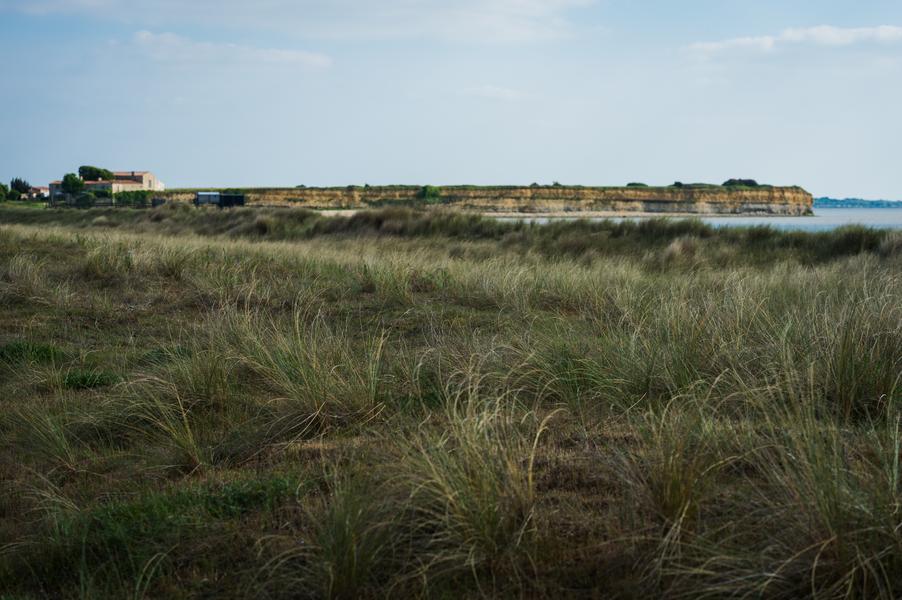 Vue paysagère de la réserve naturelle de la baie d'Yves