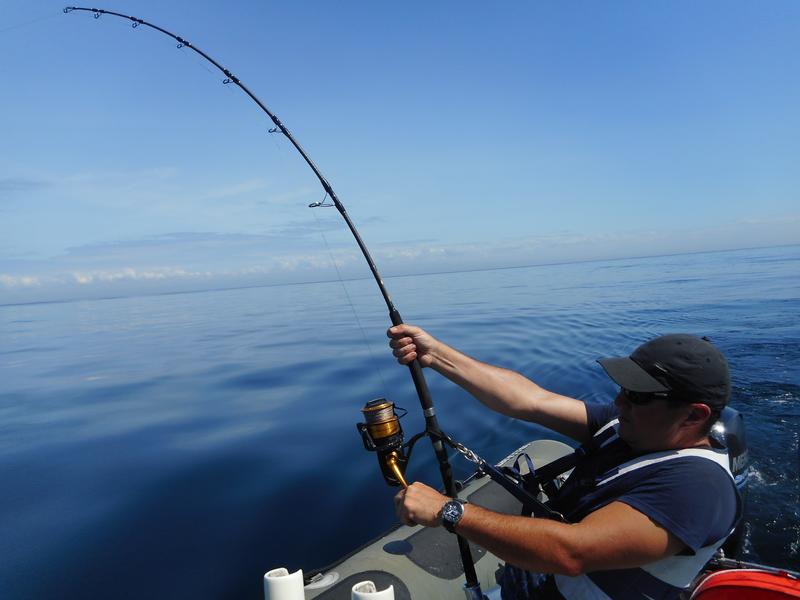 Pêche en mer au gros