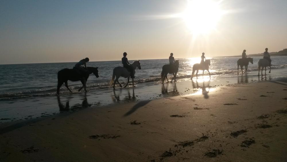 Balade sur la plage