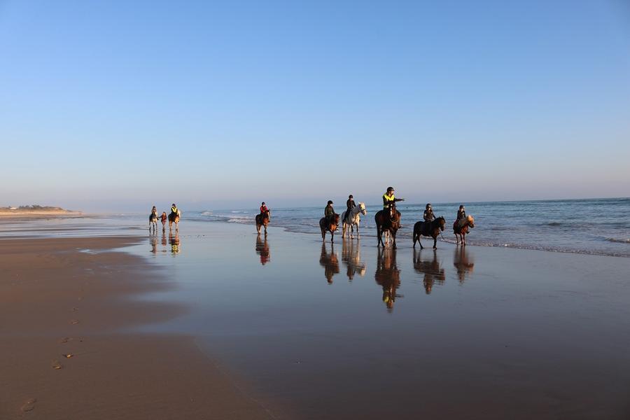 Balade sur la plage
