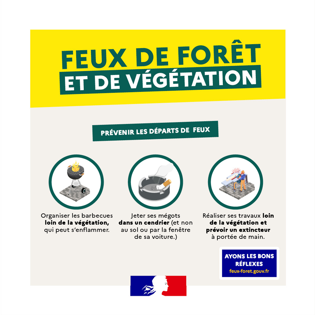 les bons reflexes feu de forêt