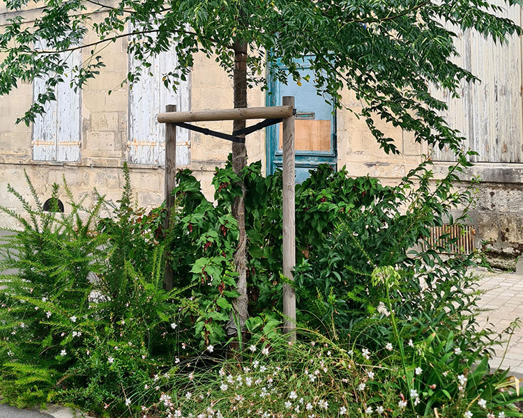 Rochefort