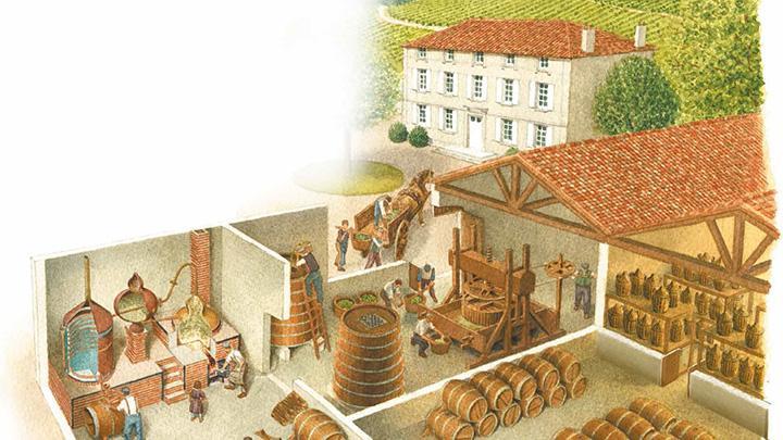 Des siècles pour créer cognac et pineau