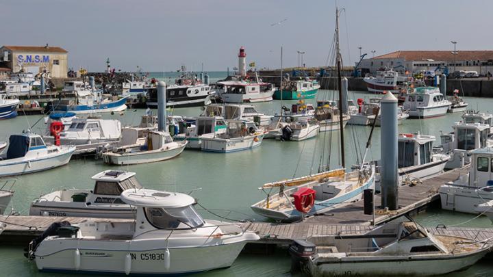 Port de La Cotinière