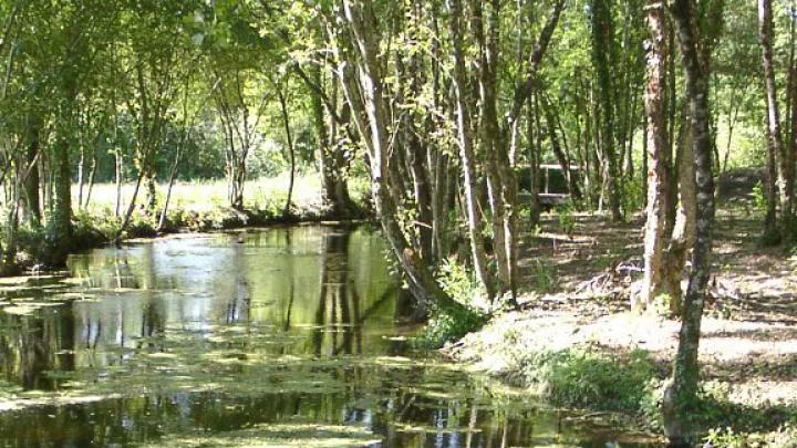 L’eau et les milieux aquatiques