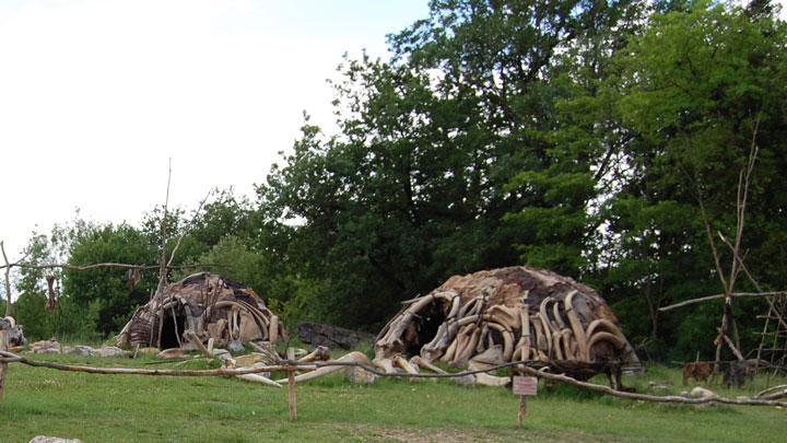 Le Paléosite