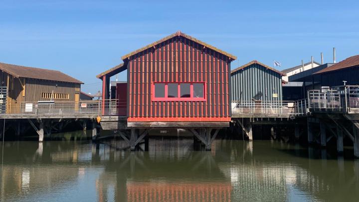 La Cité de l'Huître
