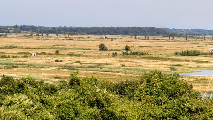La Réserve Naturelle de Moëze-Oléron