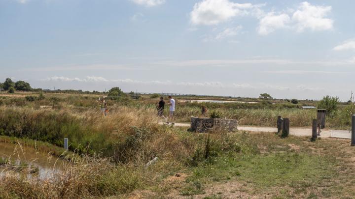 Le Port des Salines