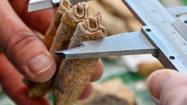 Le service d'archéologie départementale