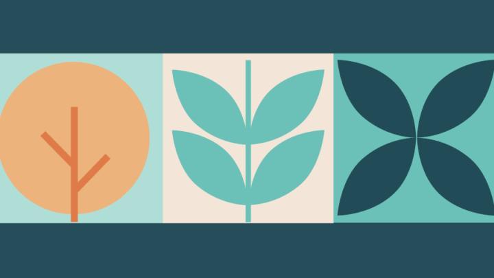 Un plan majeur autour de l'arbre et du paysage